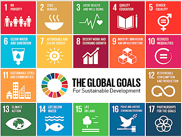 UN Sustainable Development Goals